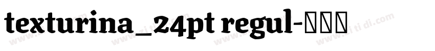 texturina_24pt regul字体转换 texturina_24pt regul字体转换